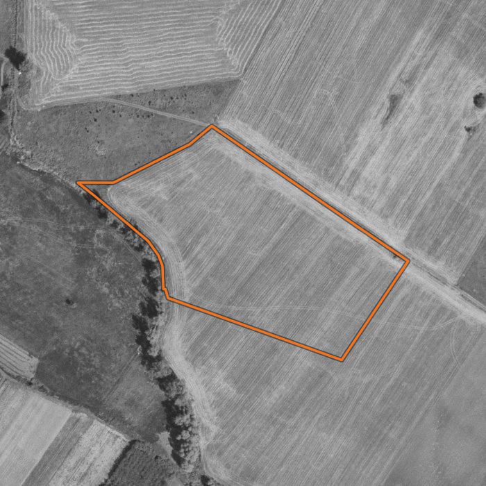Kadr działki z nalotu 2004-01-01